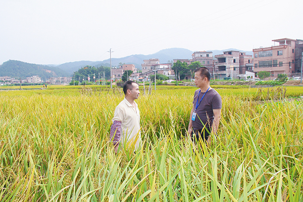 肇慶市廣寧縣.jpg